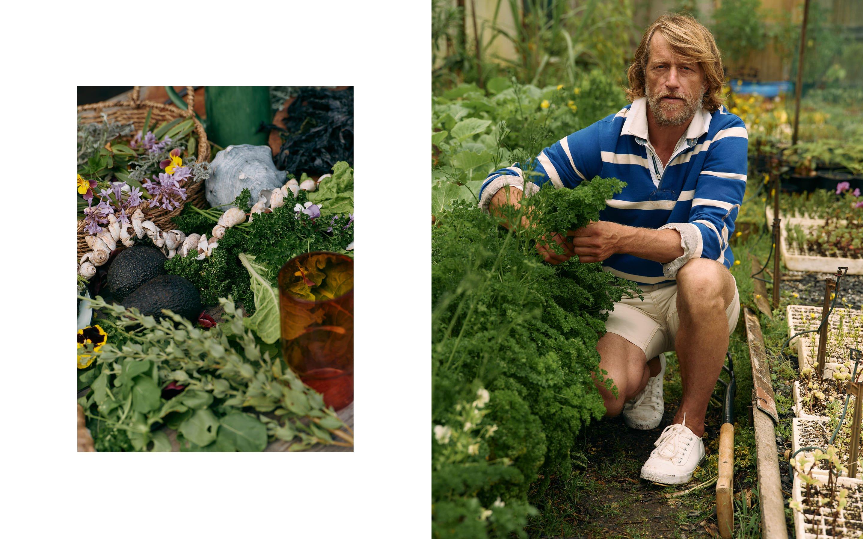 a man kneeling in a garden with a bunch of plants