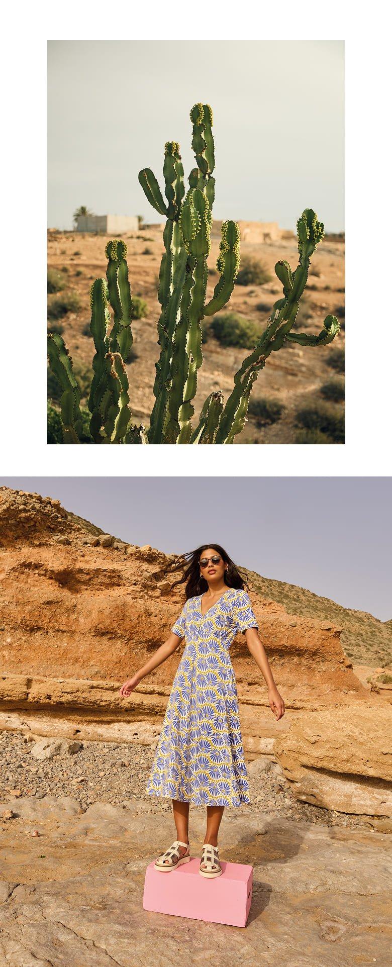 a woman standing on a box in front of a cactus