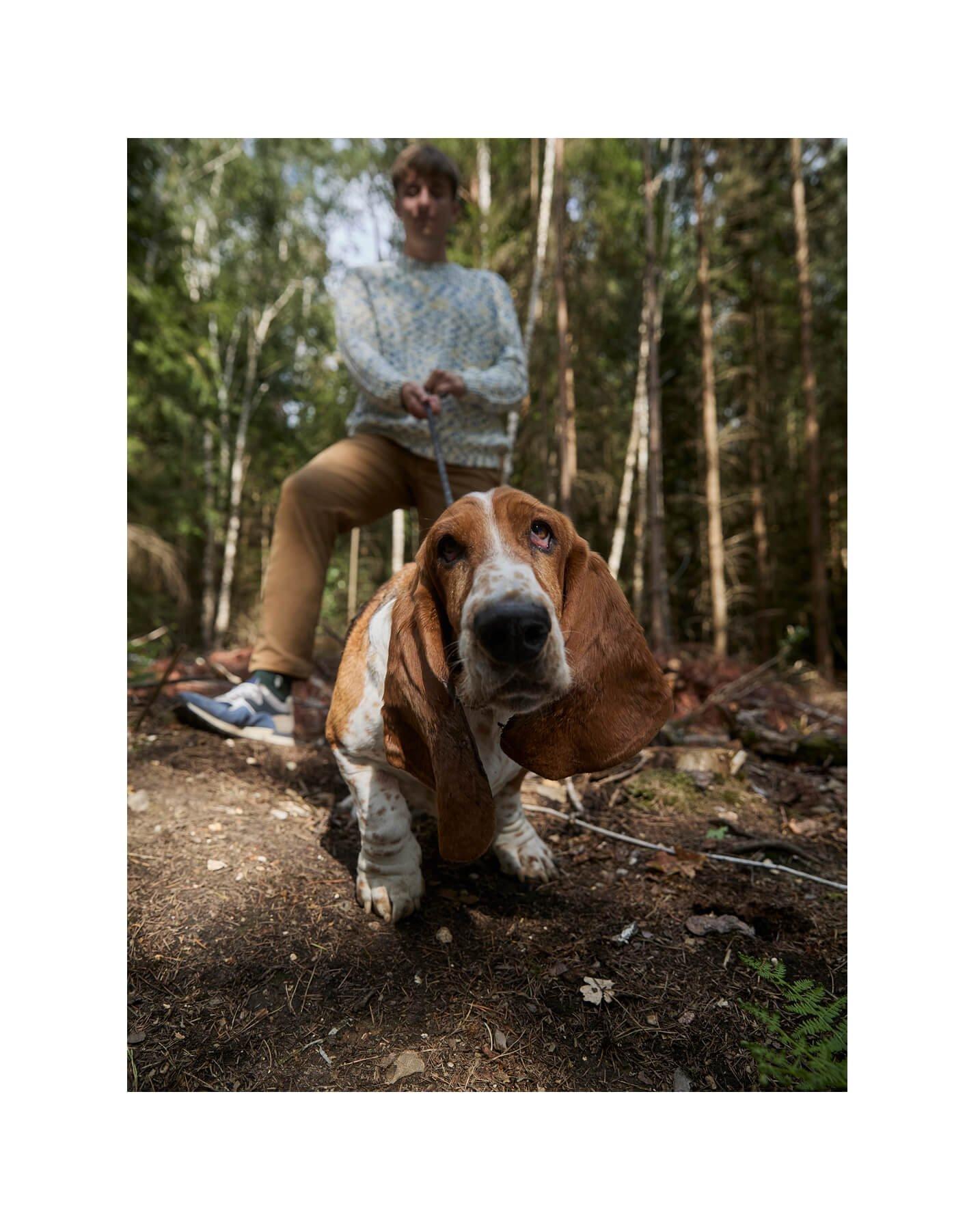 a man and a dog in the woods on a leash