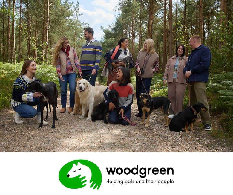 a group of people and dogs are posing for a picture