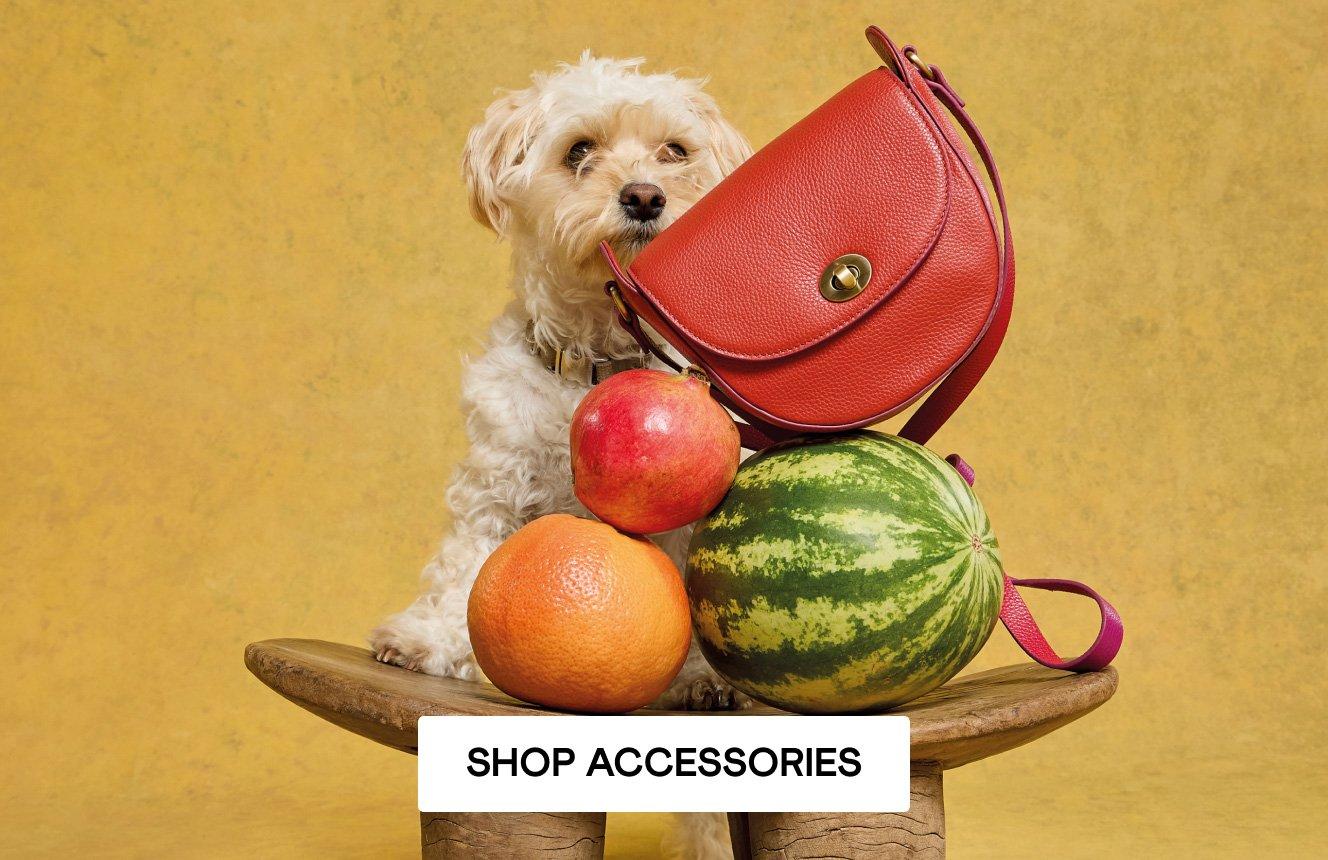 The Red Sasha saddle bag sitting next to a dog and some fruit. Click here to shop accessories.