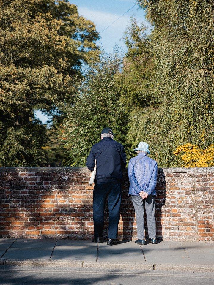 two people standing on a brick wall looking at a tree
