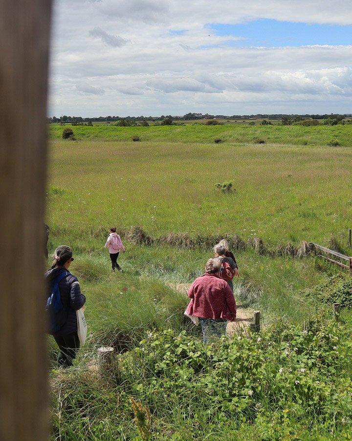 a group of people walking through a field with a fence in the background