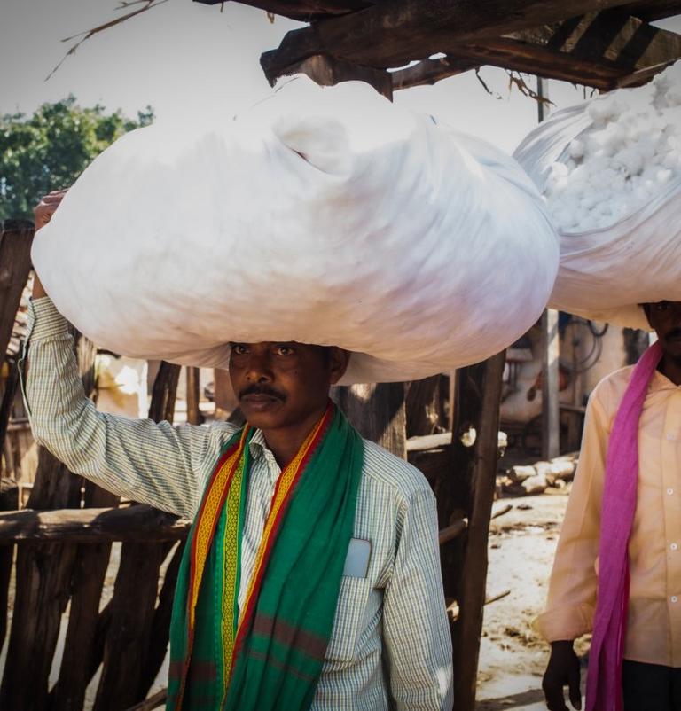 MAN CARRYING COTTON