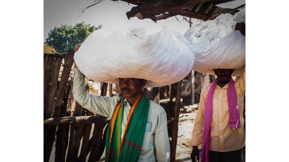 MAN CARRYING COTTON