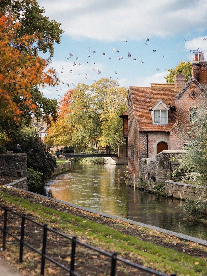 a river with a bridge and houses in the background