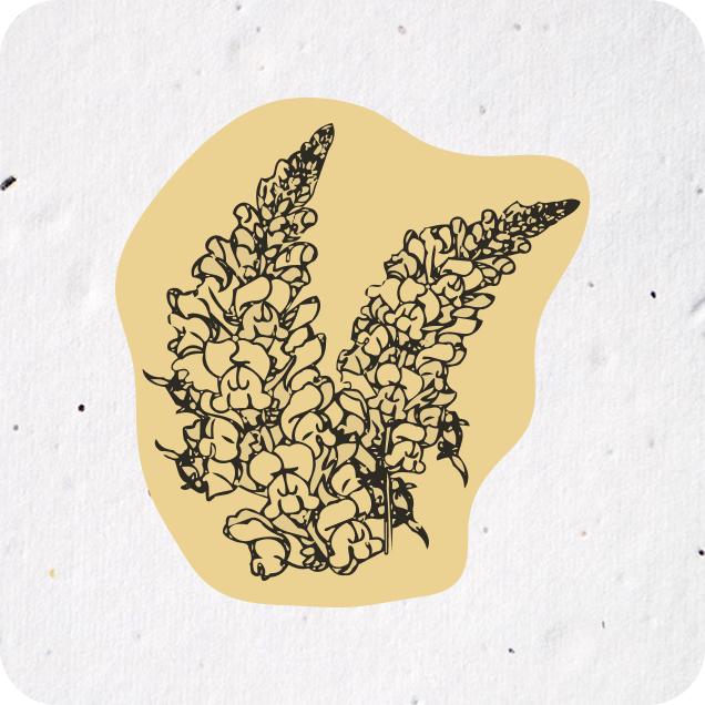 a drawing of a drawing of a flower on a piece of paper