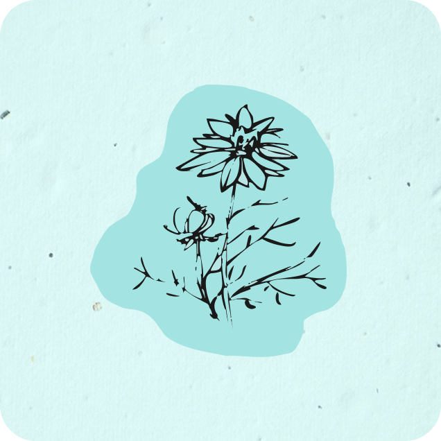 a drawing of wild flowers