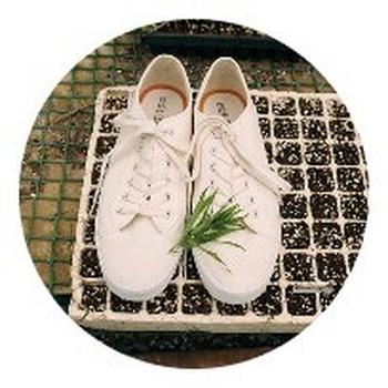 a pair of white shoes with a plant on top of them