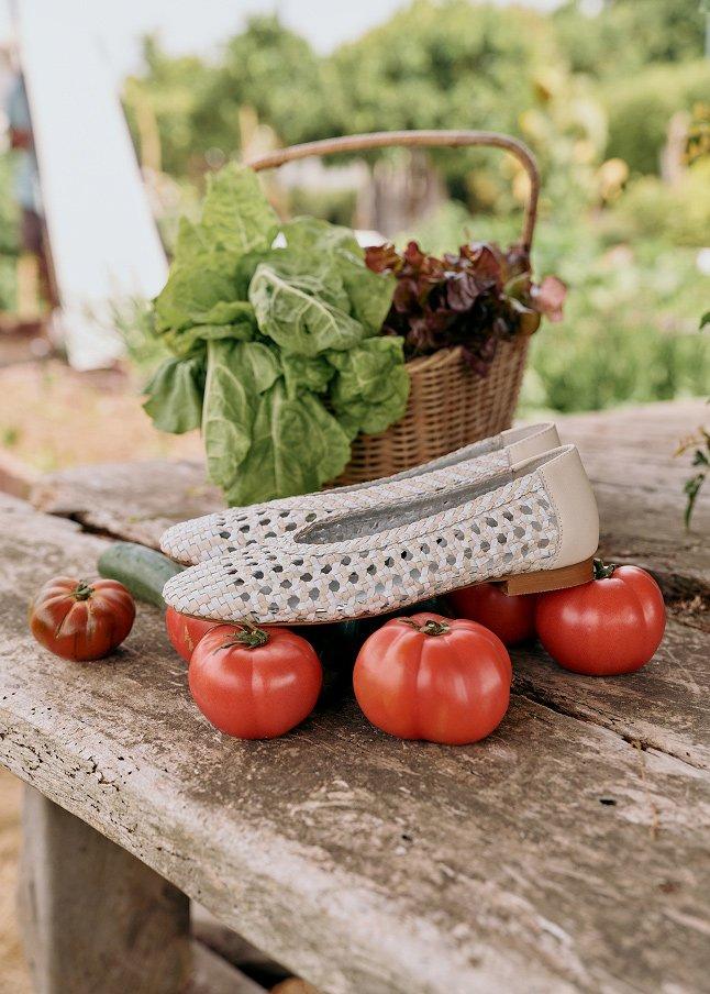 a table with tomatoes, a basket of lettuce and a pair of shoes