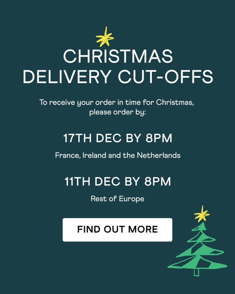 Christmas Delivery