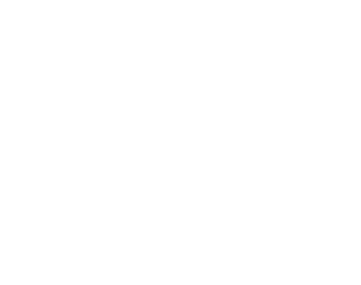 White Stuff logo