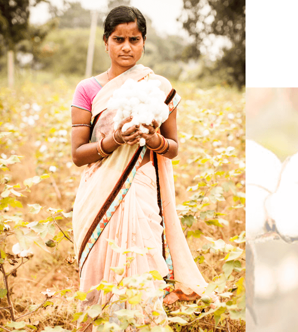 Fairtrade Sourced Cotton - Fairtrade