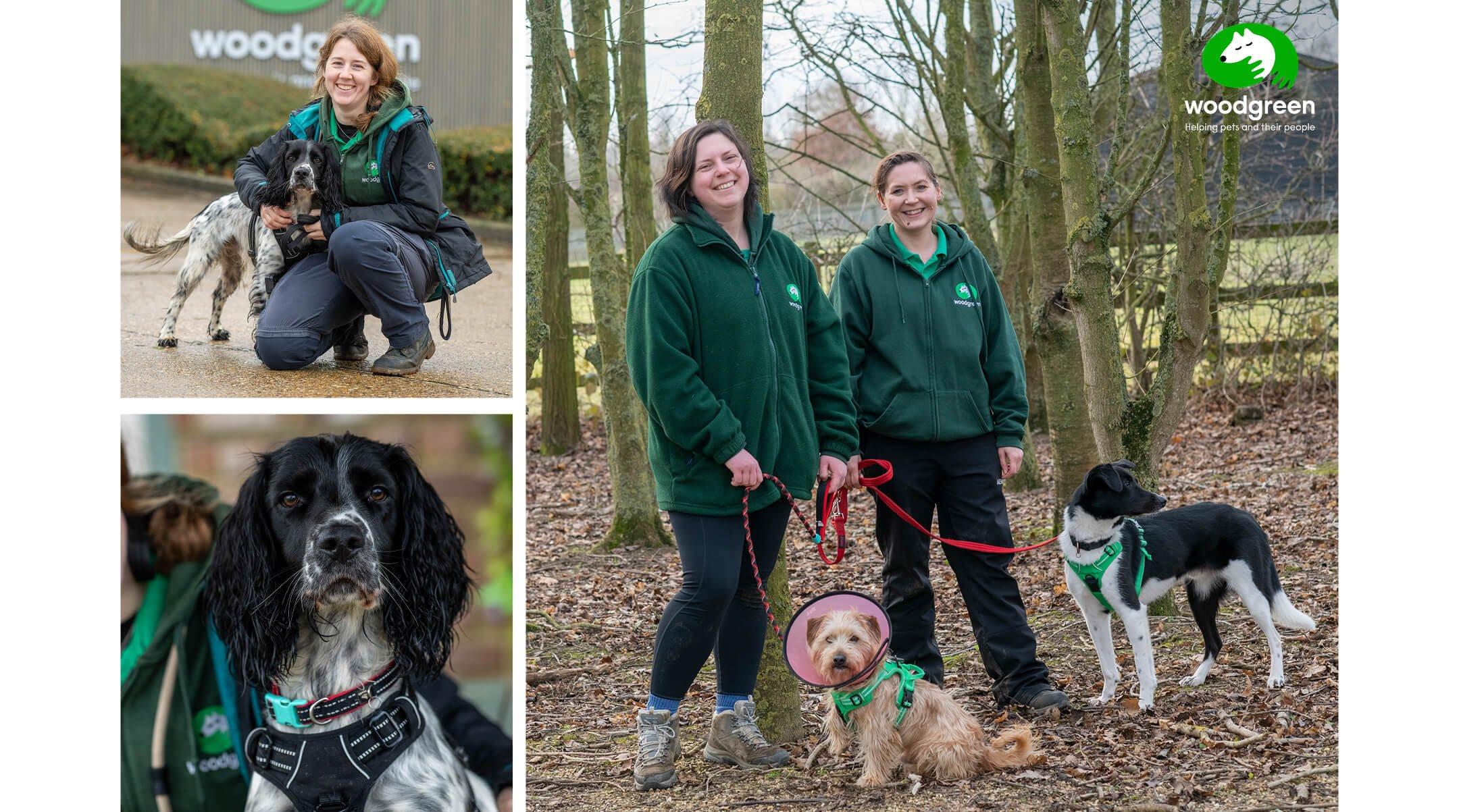 three pictures of people with dogs and one with a dog